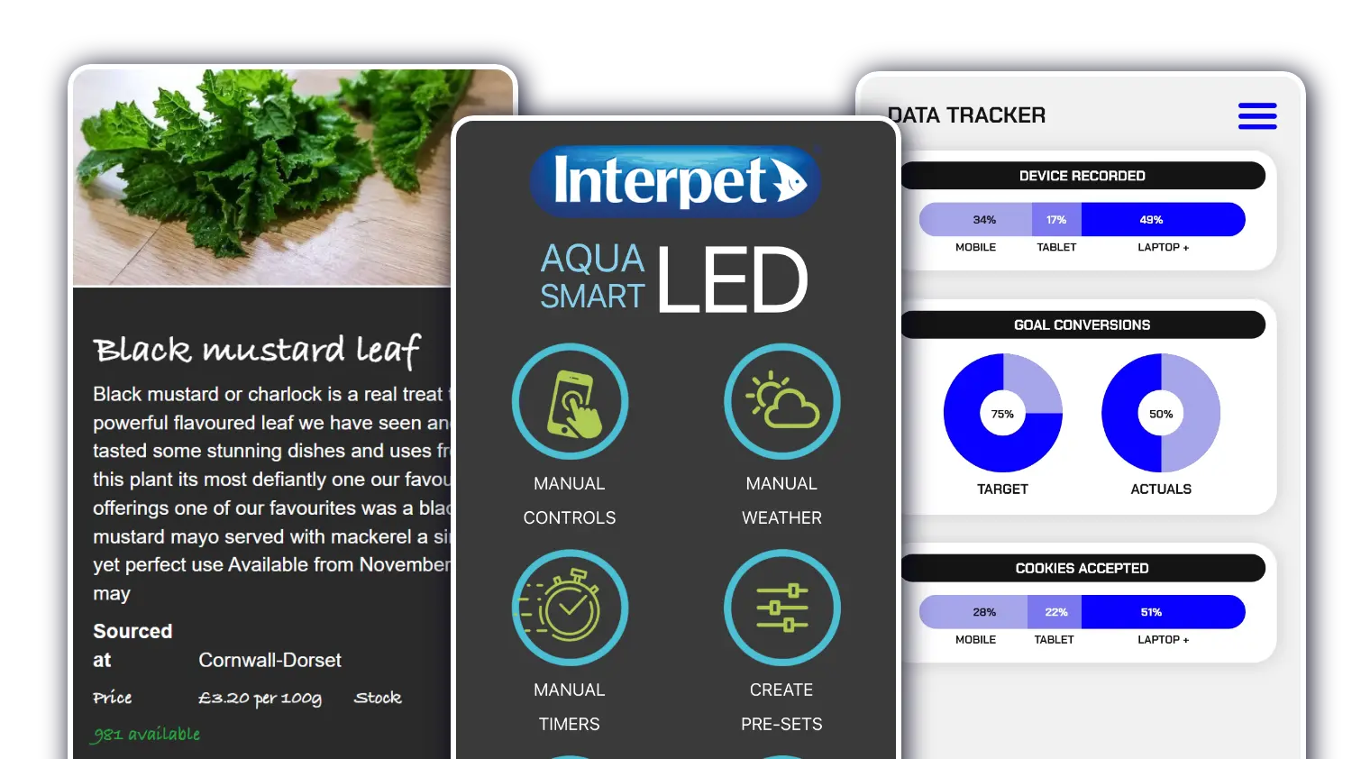 App Development Somerset - Blaze Concepts