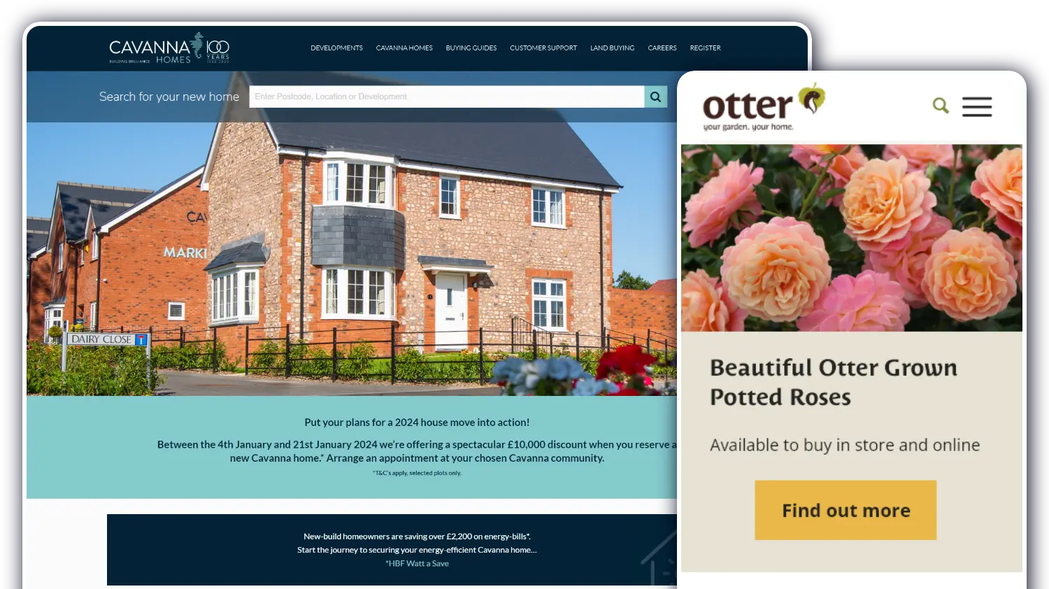 Website Development Hero Image