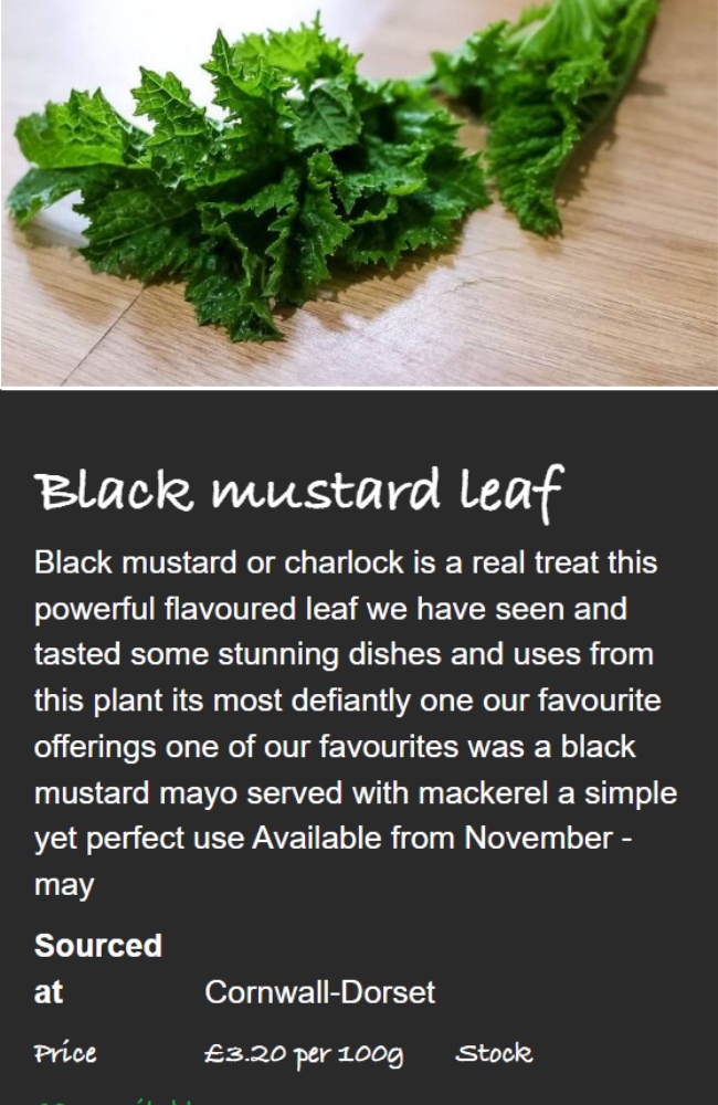 Bello Wild Foods App