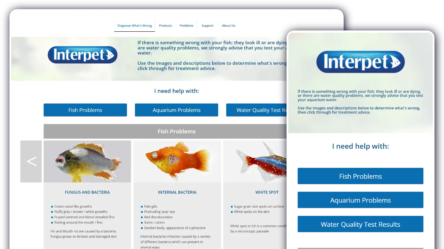 Pond Aquarium Problem Solver - Website by Blaze Concepts
