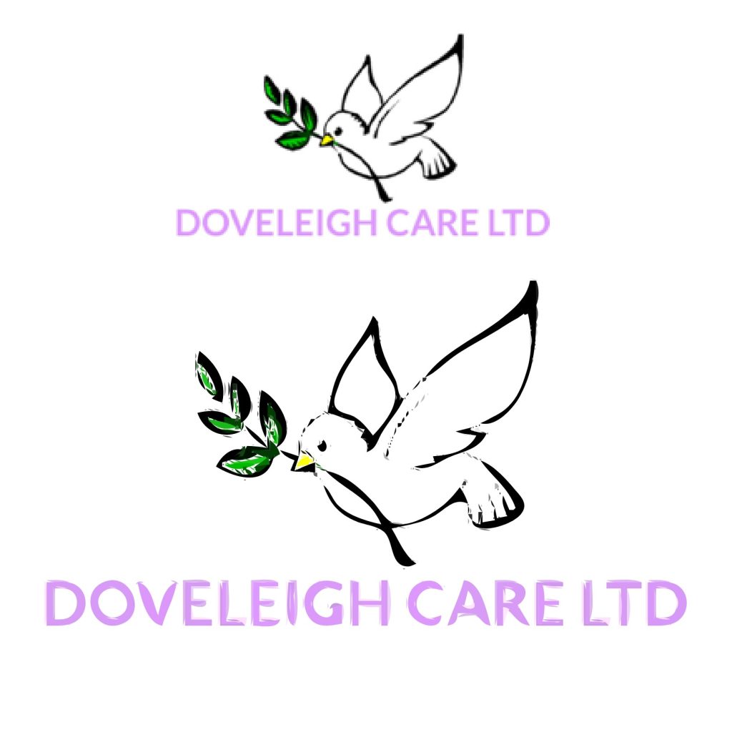 Doveleigh Care LTD - The Falls Auto Vector