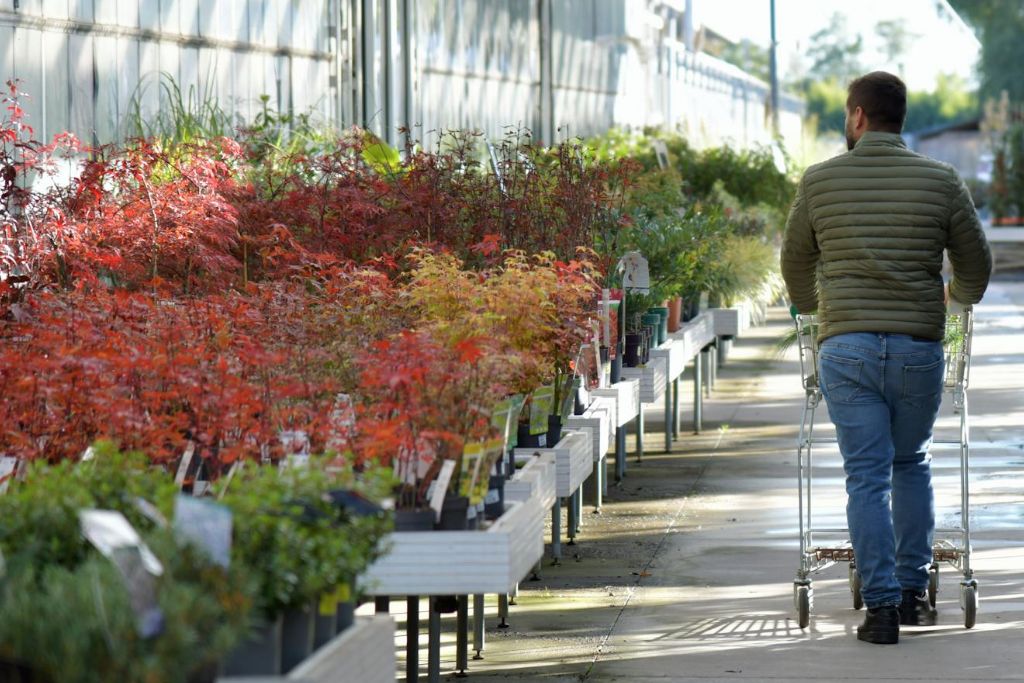 Home and Gardening Websites and Apps