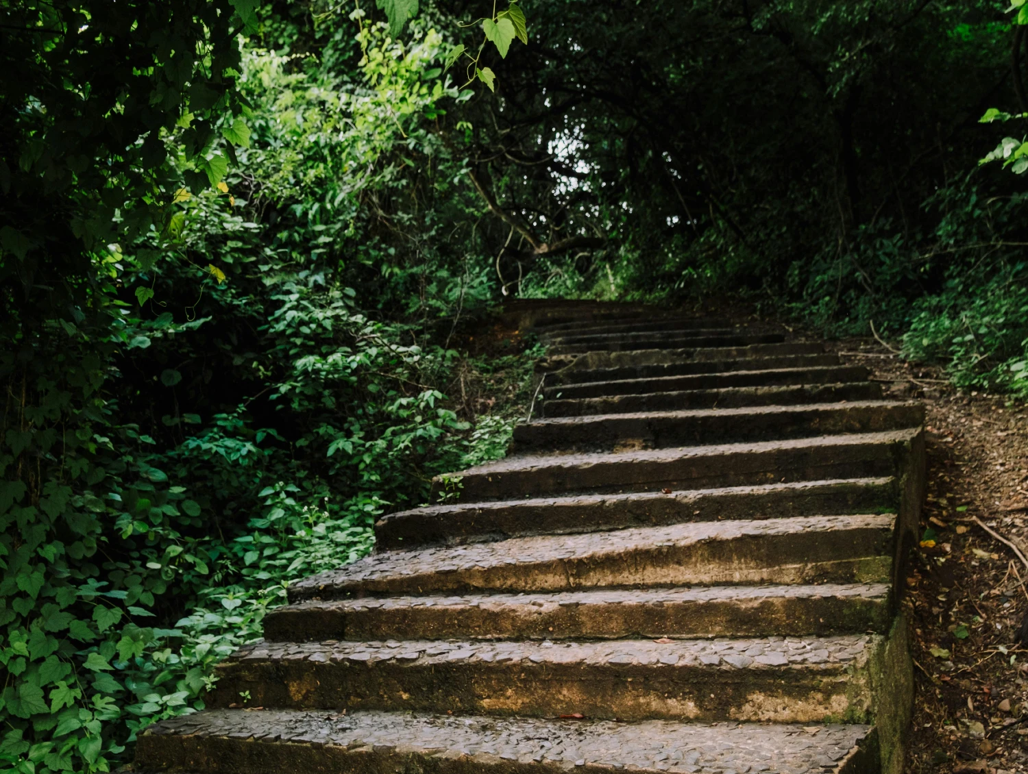 Hidden Steps of Managed WordPress Updates