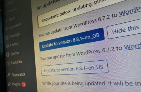 WordPress Software Updates: As Simple As Clicking Update?