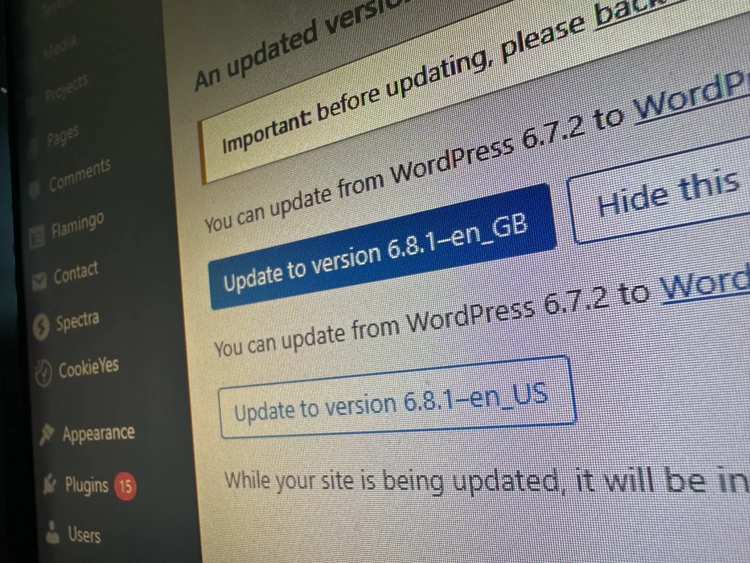 WordPress Software Updates: As Simple As Clicking Update?